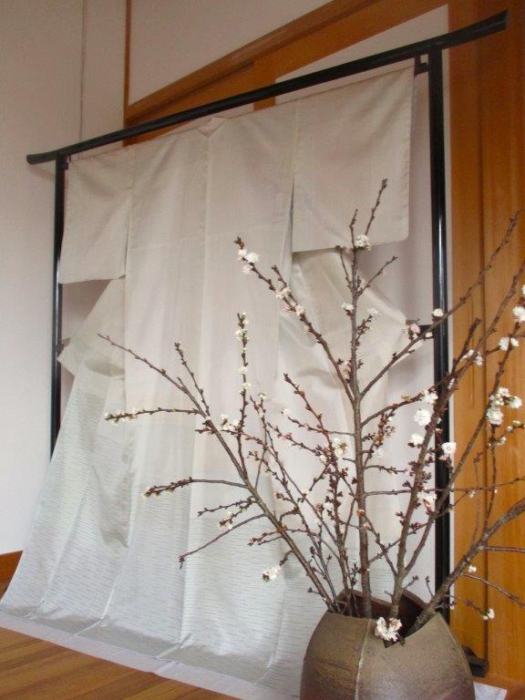 寒桜2