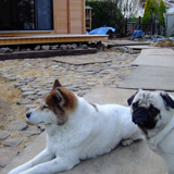 サンタ庭でくつろぐ